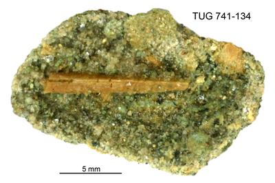 https://files.geocollections.info/large/d0/ff/d0ff7718-30b8-498f-9fb7-16661b5b2b66.jpg