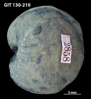 https://files.geocollections.info/large/d1/10/d110c63e-150f-419c-9218-5086d424363f.jpg