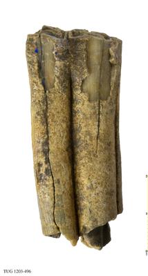 https://files.geocollections.info/large/d1/27/d1276099-7097-46ef-b7f8-3508362a31ee.jpg
