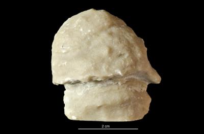 https://files.geocollections.info/large/d1/46/d146457f-ec5d-4445-9823-b441b9427f02.jpg