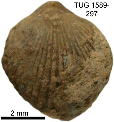 https://files.geocollections.info/large/d1/61/d161a5f1-5266-4d80-b38a-5f0b89dbec6b.jpg