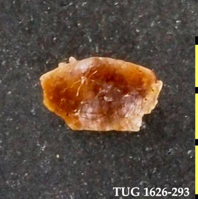 https://files.geocollections.info/large/d1/b0/d1b01977-eb64-4ff9-9c87-7b7987dd8182.jpg