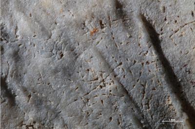 <i></i><br />Kohtla,  m, Kukruse Stage