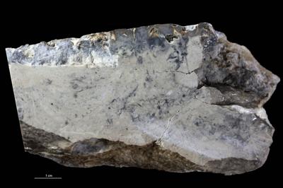 <i></i><br />Saxby shore,  m, Vormsi Stage