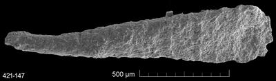 https://files.geocollections.info/large/d2/84/d2840341-d168-492c-bace-c1e203ec1b82.jpg