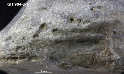 <i></i><br />Rööpli Cliff, Kõinastu,  m, Adavere Stage