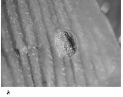 <i>Trypanites ssp.</i><br />Lava River, Leningrad Oblast,  m, Volkhov Stage