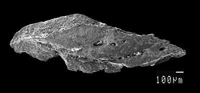 https://files.geocollections.info/large/d4/78/d47801d3-2004-4a5e-a464-17041fd956e7.jpg