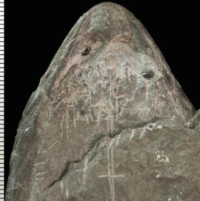 https://files.geocollections.info/large/d4/8f/d48f613d-0d9d-467c-a28b-3e322a299124.jpg