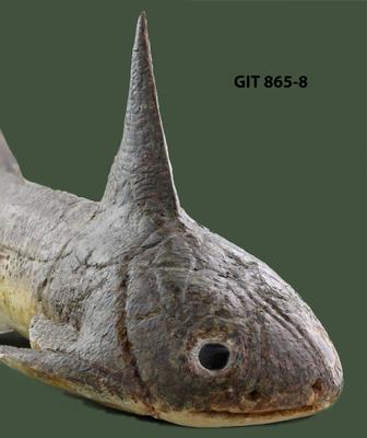 https://files.geocollections.info/large/d5/5e/d55e359e-a081-4688-ac3e-a2f753cf2125.jpg