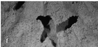 <i></i><br />Kohtla,  m, Kukruse Stage