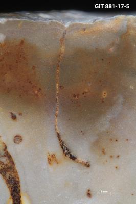 <i>Trypanites sp.</i><br />Sutlema quarry,  m, 