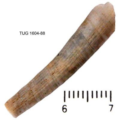 https://files.geocollections.info/large/d5/f4/d5f41739-5e34-4f57-b3b6-edd8f03e830b.jpg