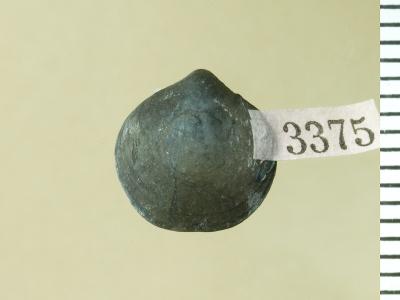 https://files.geocollections.info/large/d6/0f/d60fc232-4f27-4916-bcb3-e7411002895e.jpg
