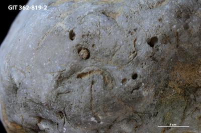 <i></i><br />Sarve harbour,  m, Raikküla Stage