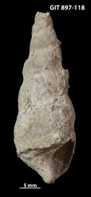 https://files.geocollections.info/large/d7/50/d750e651-4479-46dc-8419-5d5af7b9bcf0.jpg