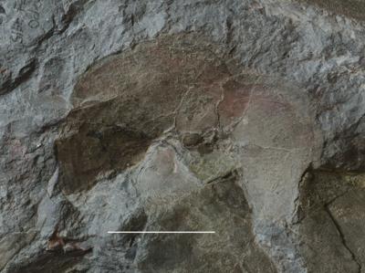 https://files.geocollections.info/large/d7/f6/d7f6ec90-15f8-4a90-9303-019373f42036.jpg