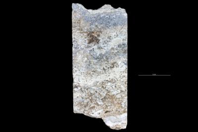 https://files.geocollections.info/large/d8/4f/d84fd36c-2a36-4d4b-9b32-92c646e7d744.jpg