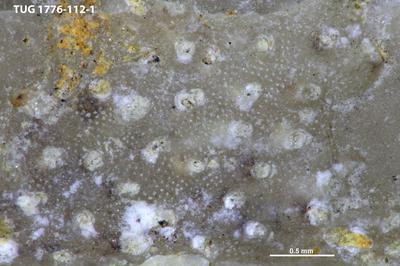 https://files.geocollections.info/large/d8/c3/d8c39751-91fc-4939-8bcc-41c288eee7ab.jpg
