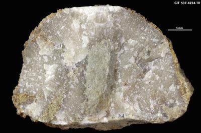 <i>Sanctum isp.</i><br />Sõmeru,  m, Keila Stage