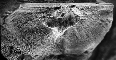 https://files.geocollections.info/large/d9/3b/d93b3750-6a0b-495b-a1fb-9161d2700eaf.jpg