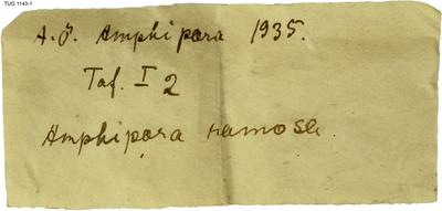 https://files.geocollections.info/large/d9/5f/d95feb1c-bd41-48bf-a5a7-8c5827c86797.jpg