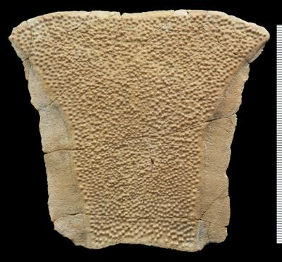 https://files.geocollections.info/large/d9/9a/d99a3c71-ca01-4497-a9b6-a01f32b65084.jpg