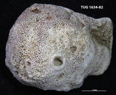 https://files.geocollections.info/large/d9/d2/d9d266bc-3e63-474e-a1b6-f2b25ec19aee.jpg
