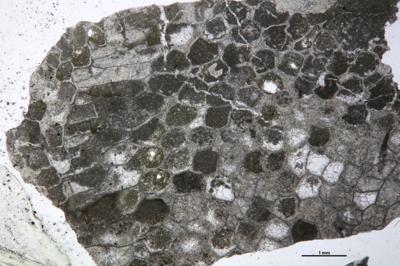 https://files.geocollections.info/large/d9/d7/d9d7271a-bfa3-4c54-b7e1-c1f3e0d59bed.jpg