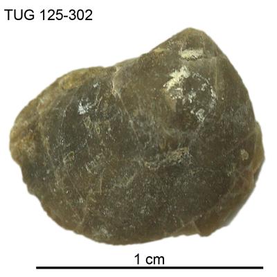 https://files.geocollections.info/large/d9/ec/d9ecb505-29d1-4c10-981f-c6e619d49e2c.jpg
