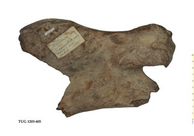 https://files.geocollections.info/large/da/49/da491655-fd9c-4509-a85f-7effaaf4214c.jpg
