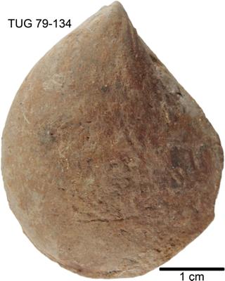 https://files.geocollections.info/large/da/57/da57368e-d341-476f-ab29-914eee71025f.jpg