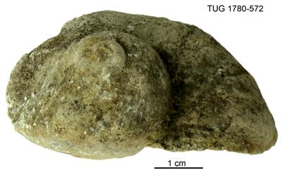 https://files.geocollections.info/large/da/76/da76d83a-fa1a-4dd4-9784-e8b64702cf85.jpg