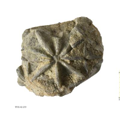 https://files.geocollections.info/large/da/a9/daa9e12e-2c80-4f46-82f3-7bd784b5851a.jpg