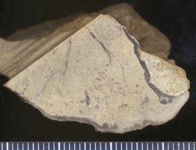 https://files.geocollections.info/large/da/d6/dad6f905-3b6f-4801-b29a-af01be5780a2.jpg