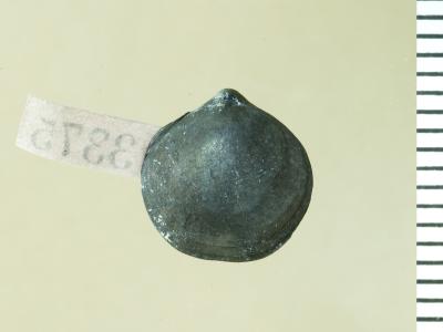 https://files.geocollections.info/large/db/23/db23b312-34b3-40af-a103-f55afcee16b2.jpg