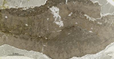 https://files.geocollections.info/large/db/2e/db2e7908-2c35-41cd-94d8-1e88ccfcded3.jpg