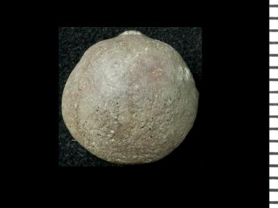 https://files.geocollections.info/large/dc/ec/dcecf1c7-1cb0-46af-957e-dd636ae49550.jpg