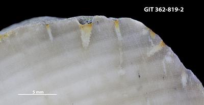 <i></i><br />Sarve harbour,  m, Raikküla Stage