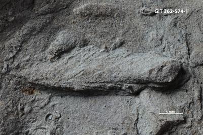 <i>Sanctum? isp.</i><br />,  m, Uhaku Stage