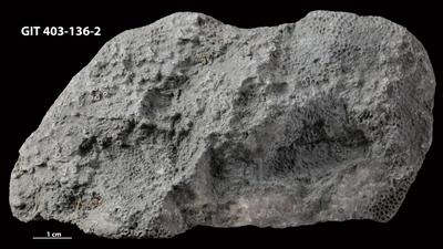 https://files.geocollections.info/large/dd/6d/dd6da28e-5905-4c48-a735-37ee824ec517.jpg