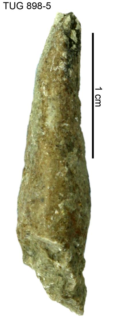 https://files.geocollections.info/large/de/41/de419347-bef9-4eab-9b72-41744e0caa57.jpg