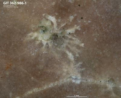 <i></i><br />Saka outcrop,  m, Volkhov Stage