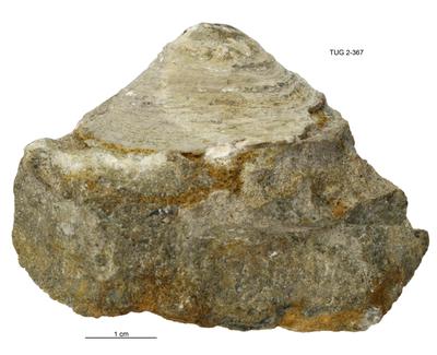 https://files.geocollections.info/large/df/1b/df1b80a6-b6f0-4e46-817b-e46081e63bcc.jpg