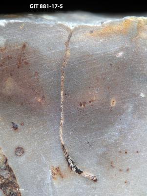 <i>Trypanites sp.</i><br />Sutlema quarry,  m, 