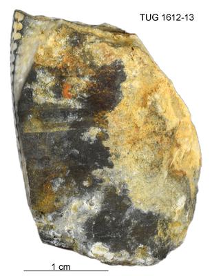 https://files.geocollections.info/large/df/a7/dfa77792-19f9-4fe2-9416-ac13359dc447.jpg