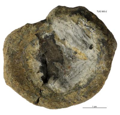 https://files.geocollections.info/large/df/e8/dfe896f2-192f-4bda-b417-5bc8a296bf0d.jpg
