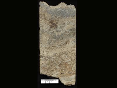 https://files.geocollections.info/large/e0/6c/e06c758e-cd13-4f3f-aa77-1f6aae8e6679.jpg