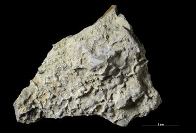 https://files.geocollections.info/large/e0/b0/e0b0fa44-4e96-456a-87b3-cad5c7fad061.jpg