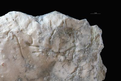 <i></i><br />Saxby shore,  m, Vormsi Stage